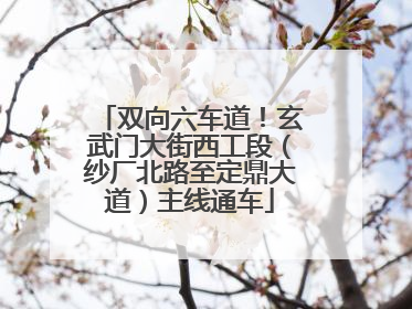 双向六车道！玄武门大街西工段（纱厂北路至定鼎大道）主线通车