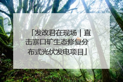 发改君在现场｜直击寨口矿生态修复分布式光伏发电项目