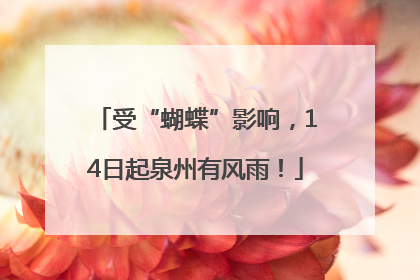 受“蝴蝶”影响，14日起泉州有风雨！