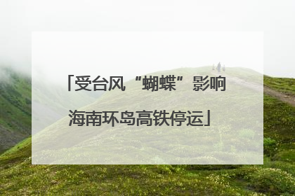受台风“蝴蝶”影响 海南环岛高铁停运