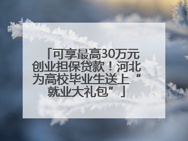 可享最高30万元创业担保贷款！河北为高校毕业生送上“就业大礼包”