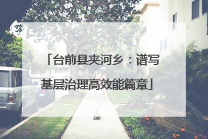 台前县夹河乡：谱写基层治理高效能篇章