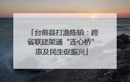 台前县打渔陈镇：跨省联建架通“连心桥” 惠及民生促振兴
