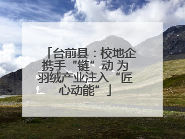 台前县：校地企携手“链”动 为羽绒产业注入“匠心动能”