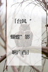 台风“蝴蝶”影响广西