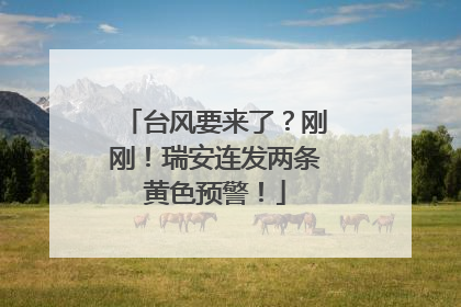 台风要来了？刚刚！瑞安连发两条黄色预警！