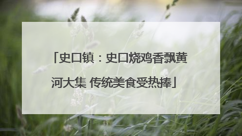 史口镇：史口烧鸡香飘黄河大集 传统美食受热捧