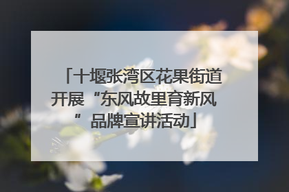 十堰张湾区花果街道开展“东风故里育新风”品牌宣讲活动