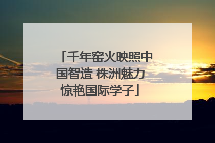 千年窑火映照中国智造 株洲魅力惊艳国际学子