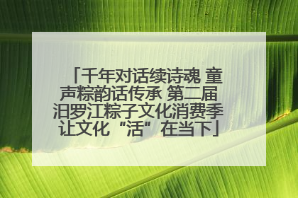 千年对话续诗魂 童声粽韵话传承 第二届汨罗江粽子文化消费季让文化“活”在当下