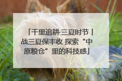 千里追耕·三夏时节丨战三夏保丰收 探索“中原粮仓”里的科技感