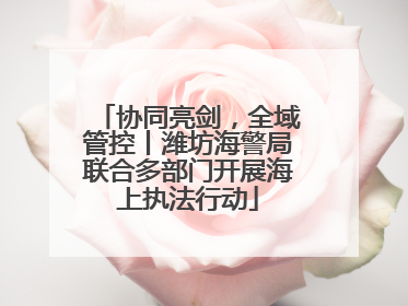 协同亮剑，全域管控丨潍坊海警局联合多部门开展海上执法行动