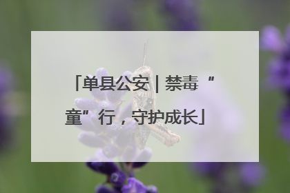 单县公安｜禁毒“童”行，守护成长