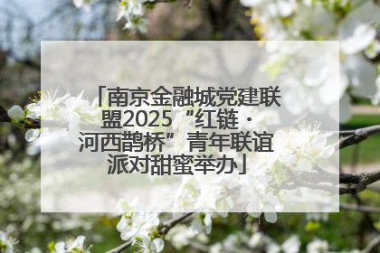 南京金融城党建联盟2025“红链・河西鹊桥”青年联谊派对甜蜜举办