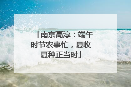 南京高淳：端午时节农事忙，夏收夏种正当时