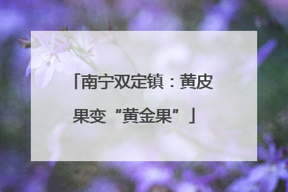南宁双定镇：黄皮果变“黄金果”