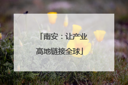 南安：让产业高地链接全球