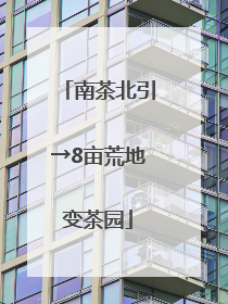 南茶北引→8亩荒地变茶园