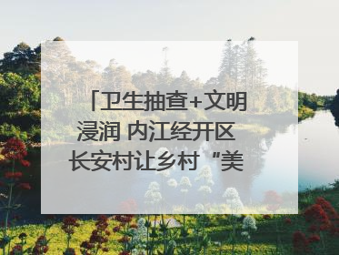 卫生抽查+文明浸润 内江经开区长安村让乡村“美颜”持久在线｜万千气象看四川