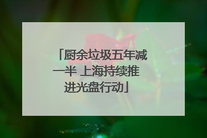 厨余垃圾五年减一半 上海持续推进光盘行动