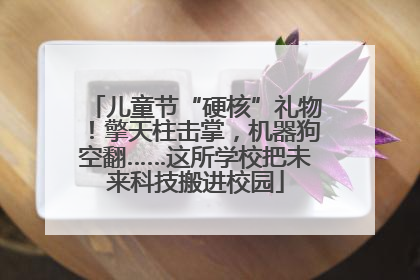 儿童节“硬核”礼物！擎天柱击掌，机器狗空翻……这所学校把未来科技搬进校园