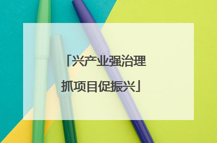 兴产业强治理 抓项目促振兴