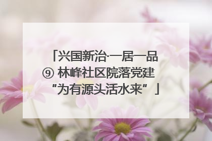 兴国新治·一居一品⑨ 林峰社区院落党建“为有源头活水来”
