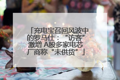充电宝召回风波中的罗马仕：“访客”激增 A股多家电芯厂商称“未供货”