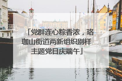 党群连心粽香浓，珞珈山街道两新组织别样主题党日庆端午