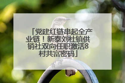 党建红链串起全产业链！新泰刘杜镇供销社双向任职激活8村共富密码