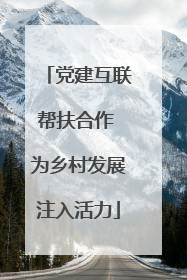 党建互联帮扶合作 为乡村发展注入活力