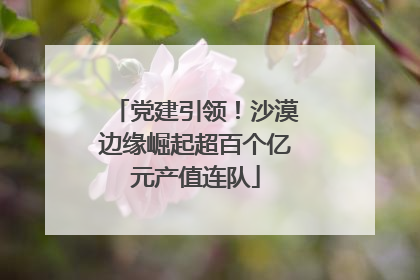 党建引领！沙漠边缘崛起超百个亿元产值连队