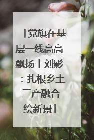 党旗在基层一线高高飘扬丨刘影：扎根乡土 三产融合绘新景