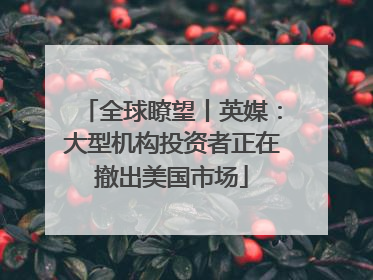 全球瞭望丨英媒：大型机构投资者正在撤出美国市场