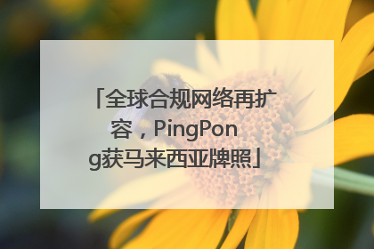 全球合规网络再扩容，PingPong获马来西亚牌照