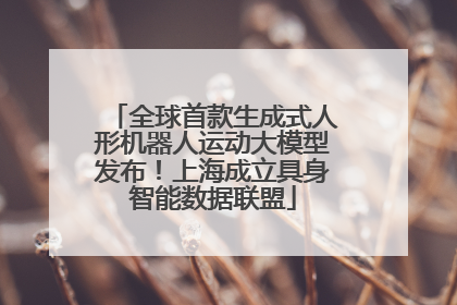 全球首款生成式人形机器人运动大模型发布！上海成立具身智能数据联盟