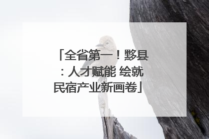 全省第一！黟县：人才赋能 绘就民宿产业新画卷