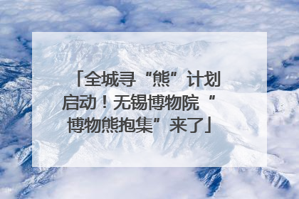 全城寻“熊”计划启动！无锡博物院“博物熊抱集”来了