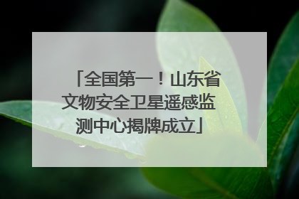 全国第一！山东省文物安全卫星遥感监测中心揭牌成立