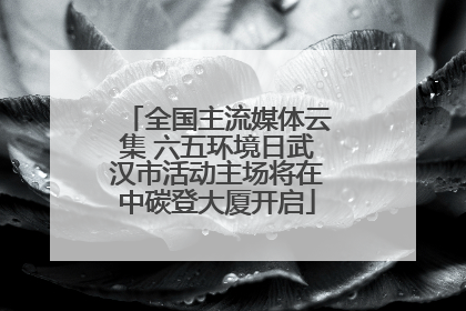 全国主流媒体云集 六五环境日武汉市活动主场将在中碳登大厦开启