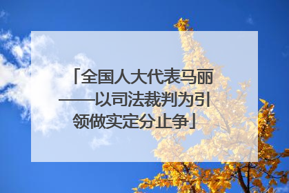 全国人大代表马丽——以司法裁判为引领做实定分止争