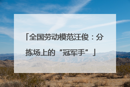 全国劳动模范汪俊：分拣场上的“冠军手”