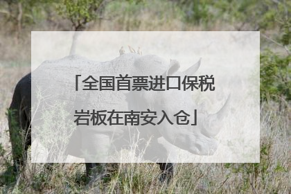 全国首票进口保税岩板在南安入仓