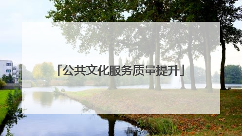 公共文化服务质量提升