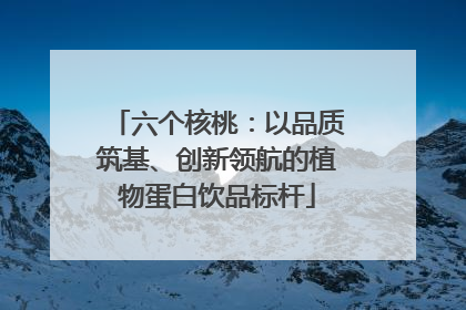 六个核桃：以品质筑基、创新领航的植物蛋白饮品标杆