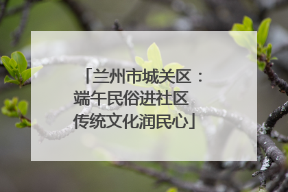 兰州市城关区：端午民俗进社区 传统文化润民心