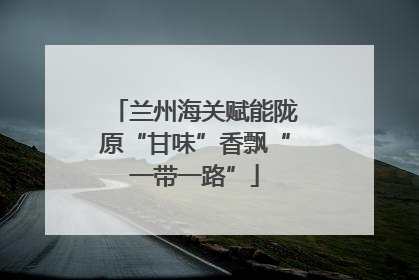 兰州海关赋能陇原“甘味”香飘“一带一路”