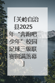 关岭自治县2025年“奔跑吧少年”校园足球三级联赛圆满落幕