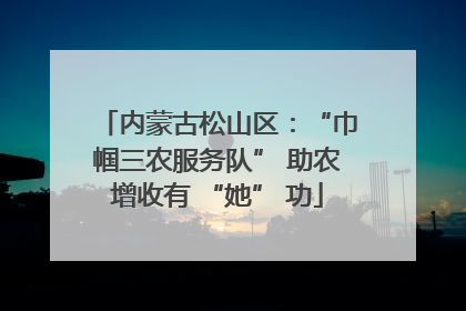 内蒙古松山区：“巾帼三农服务队” 助农增收有 “她” 功