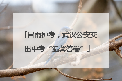 冒雨护考，武汉公安交出中考“温馨答卷”